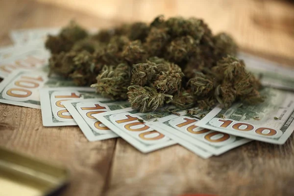 Concept Entreprise Cannabis Marijuana Médicale Argent — Photo