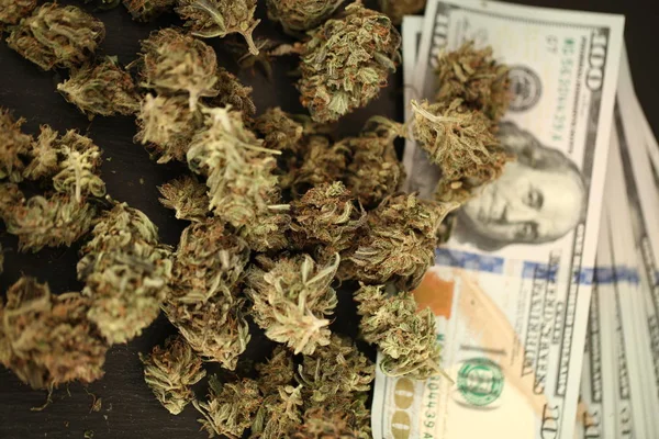 Cannabis Business Concept Medical Marijuana Money — Stock Photo, Image