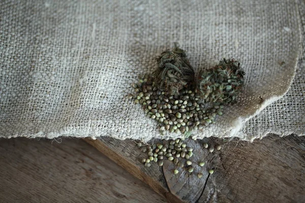 esrar iş kavramı. Tıbbi esrar ve para