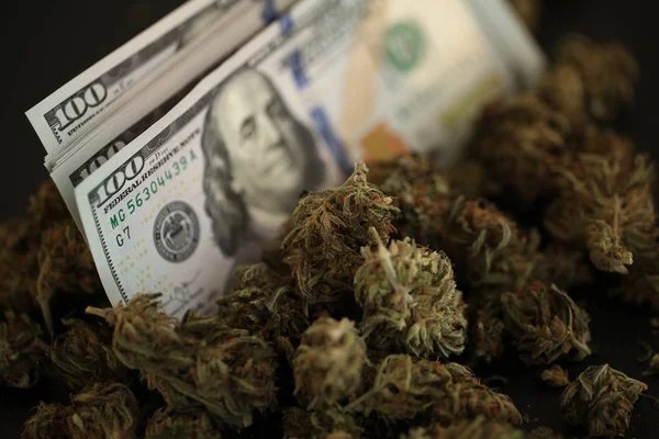 Money and weed Stock Photos, Royalty Free Money and weed Images |  Depositphotos
