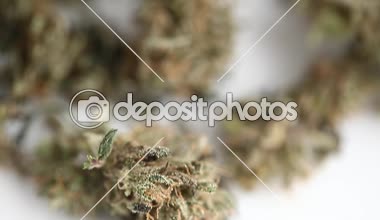 marihuana tıbbi rekreasyon kenevir yağı cbd