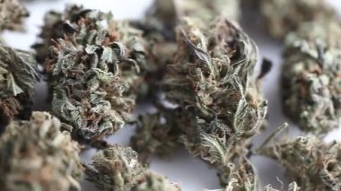 marihuana tıbbi rekreasyon kenevir yağı cbd