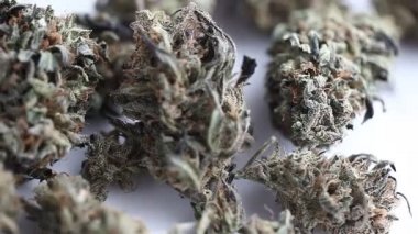 marihuana tıbbi rekreasyon kenevir yağı cbd