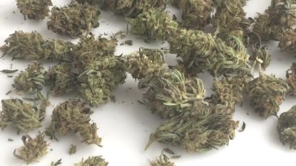 Video Cannabis Medicinal Marihuana Cbd Producto Tabla Sativa Durban Crece — Vídeo de stock