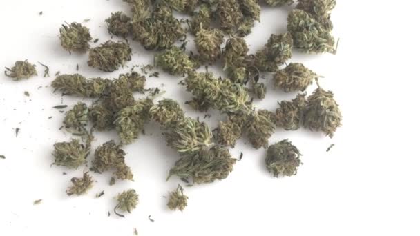 Video Medicinsk Cannabis Marijuana Cbd Produkt Tabellen Sativa Durban Utomhus — Stockvideo