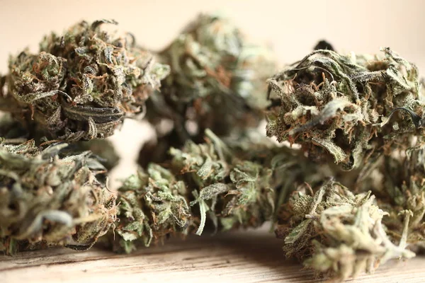 Cannabis Affärsidé Medicinsk Marijuana — Stockfoto