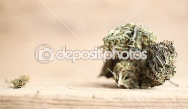 marihuana tıbbi rekreasyon kenevir yağı cbd