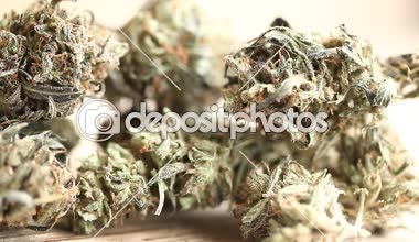marihuana tıbbi rekreasyon kenevir yağı cbd