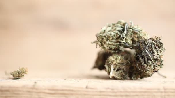 Marihuana Medicinal Recreación Cannabis Aceite Cbd — Vídeos de Stock