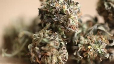 marihuana tıbbi rekreasyon kenevir yağı cbd