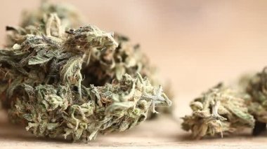 marihuana tıbbi rekreasyon kenevir yağı cbd