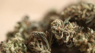 marihuana tıbbi rekreasyon kenevir yağı cbd