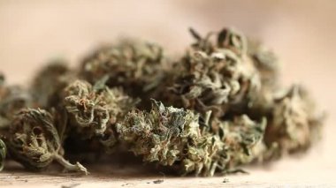 marihuana tıbbi rekreasyon kenevir yağı cbd