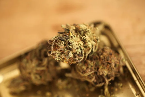 Cannabis Affärsidé Medicinsk Marijuana Och Pengar — Stockfoto