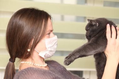 tıbbi maskesi yüzünde kız İngiliz kedi breed.toxoplasmosis muhafaza-e karşı kedisi enfeksiyon insanlar için tutuyor.