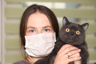 tıbbi maskesi yüzünde kız İngiliz kedi breed.toxoplasmosis muhafaza-e karşı kedisi enfeksiyon insanlar için tutuyor.