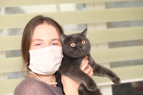 girl in medical mask on her face is holding  British cat breed.toxoplasmosis protection against cat infection for humans.