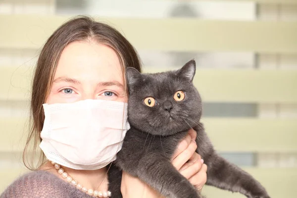 Girl Medical Mask Her Face Holding British Cat Breed Toxoplasmosis — Stock Photo, Image