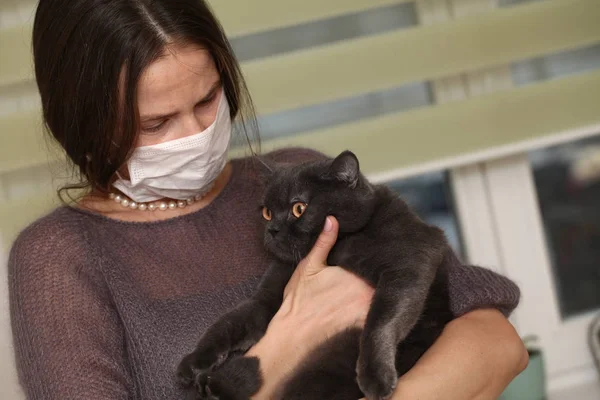 イギリスの猫 Breed Toxoplasmosis 人間のための猫の感染防御を保持している彼女の顔にマスクの女の子 — ストック写真