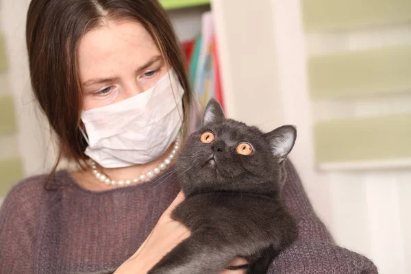 イギリスの猫 Breed Toxoplasmosis 人間のための猫の感染防御を保持している彼女の顔にマスクの女の子 — ストック写真