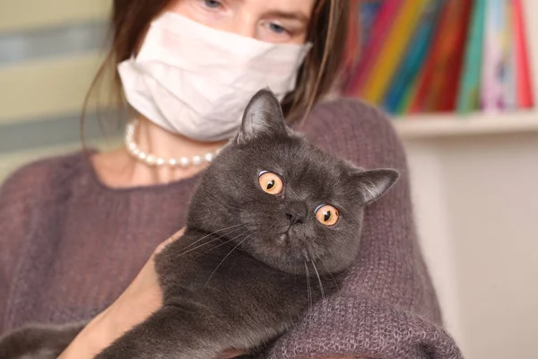 イギリスの猫 Breed Toxoplasmosis 人間のための猫の感染防御を保持している彼女の顔にマスクの女の子 — ストック写真