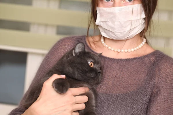 イギリスの猫 Breed Toxoplasmosis 人間のための猫の感染防御を保持している彼女の顔にマスクの女の子 — ストック写真