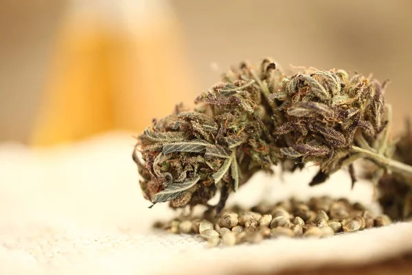 Marijuana Medicinska Rekreation Cannabis Olja Cbd — Stockfoto