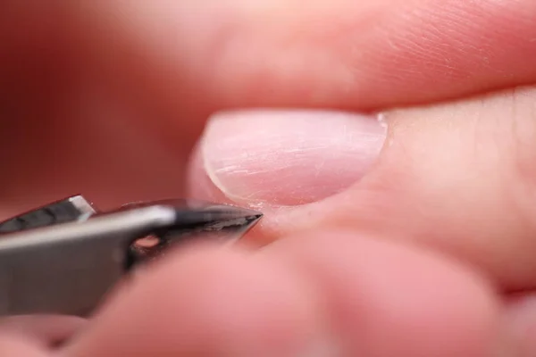 Processamento Unhas Femininas Manicure — Fotografia de Stock