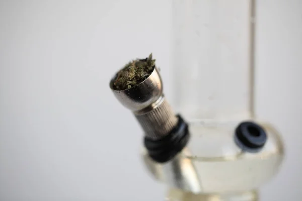 Marijuana Och Cannabis Lagliga Droger — Stockfoto