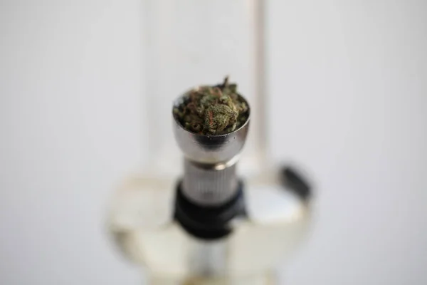 Marihuana Cannabis Legale Drug — Stockfoto