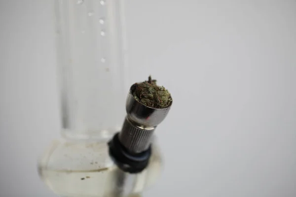 Marijuana Cannabis Droga Legal — Fotografia de Stock