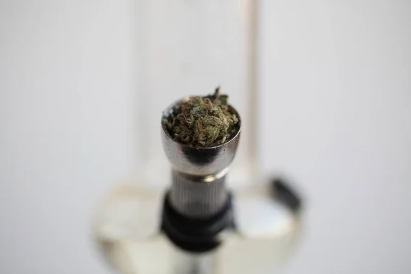 Marijuana Och Cannabis Lagliga Droger — Stockfoto