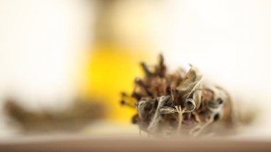 tıbbi esrar petrol cbd