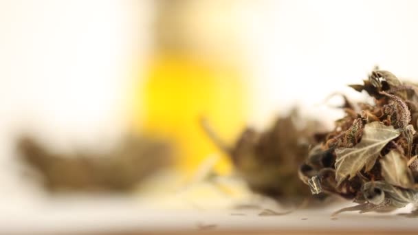 医疗大麻油 Cbd — 图库视频影像