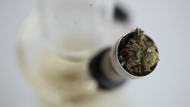 Marijuana Cannabis Droga Legal — Vídeo de Stock