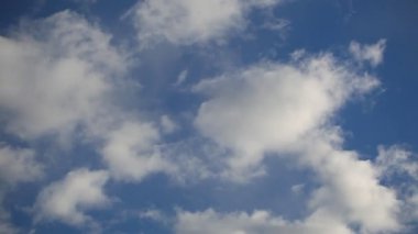 Esrar yağı tıbbi esrar Relax kavramı