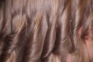 Kadının baş kıvırmak üzerinde salonda saç ustaları oluşturma