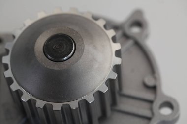 fransız araba için su pompası 