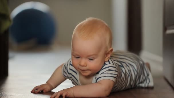 Cute Infant Boy Crawling Floor — Stock Video