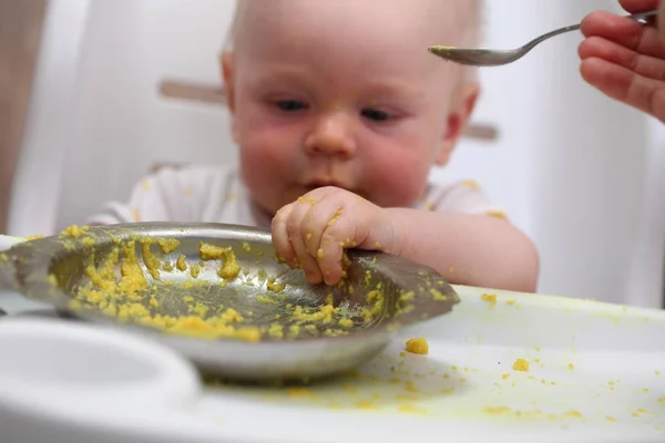Lindo Pequeño Niño Comiendo —  Fotos de Stock