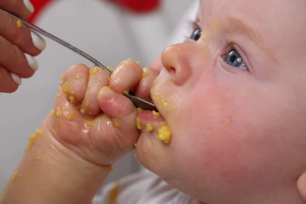 Menino Pequeno Bonito Comendo — Fotografia de Stock