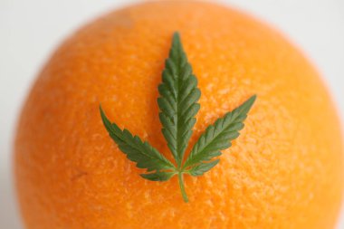 Esrar sarı arka planda bırakır