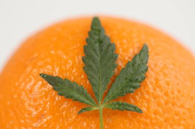 Esrar sarı arka planda bırakır