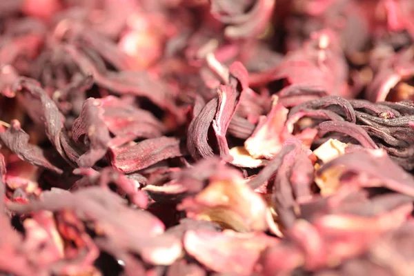 Texture Hibiscus Sudanese Pétales Rose — Photo