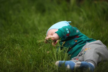çimenler üzerinde sürünen sevimli küçük çocuk 