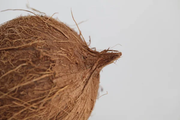 Текстура Волосы Поверхности Кокоса — стоковое фото