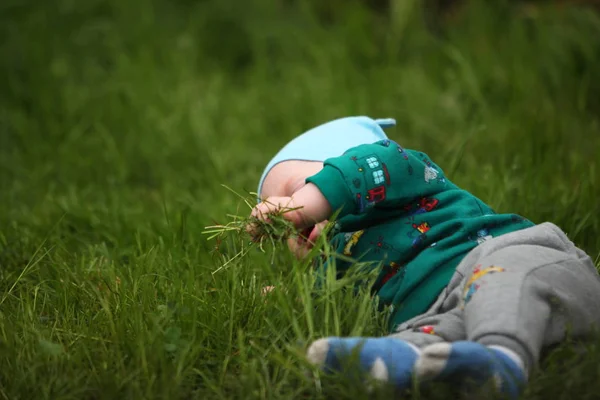 çimenler üzerinde sürünen sevimli küçük çocuk 