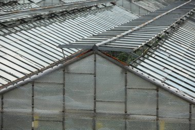 seralar çatı ekimi sebze organik bitki sanayi