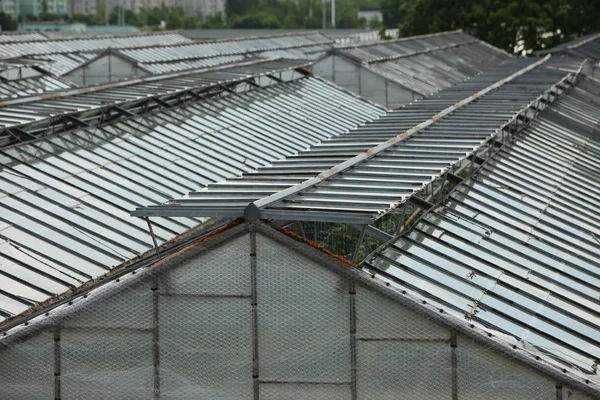 Dach Szklarnie Organiczny Przemysł Roślina Uprawa Warzywa — Zdjęcie stockowe