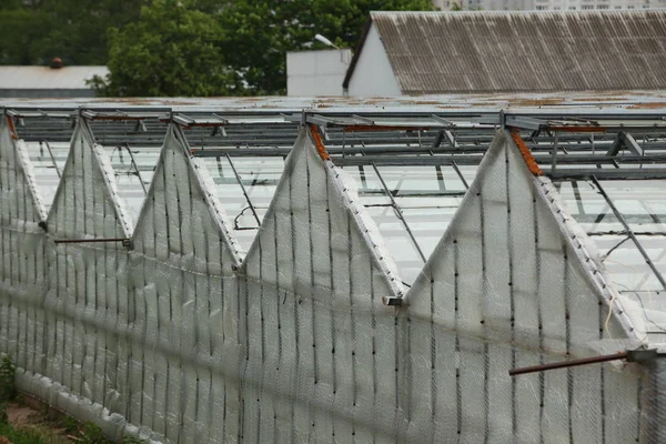 Dach Szklarnie Organiczny Przemysł Roślina Uprawa Warzywa — Zdjęcie stockowe